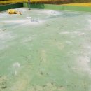 계리마을회관 이미지