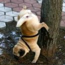 따뜻한 on동물병원 이미지