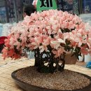 충주자유시장 이미지