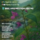 바람고개길 이미지