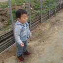 유빈농장 네이버블로그
