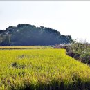 경기둘레길 평택45코스 이미지