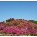 종점민박 이미지