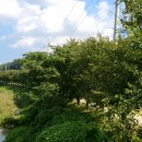 구룡보건지소 이미지