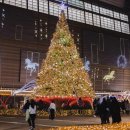 “여행자 평점 높은 서울 관광 명소 5곳” 외국 여행객이 뽑은 서울 가볼 만한 곳 베스트 이미지