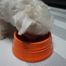 주식회사 렉시 이미지