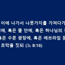 초막 이미지