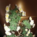 노원구청사 이미지