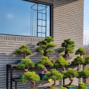 투썸플레이스청도산성강변점 이미지