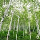 숨쉬는공간 이미지