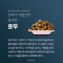 아이똑똑 이미지