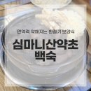 심마니 | 남양주 오남 맛집 솔직 후기, 보양식 심마니산약초백숙