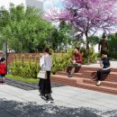 삼일대로 이미지