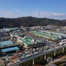 대구한약재도매시장