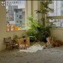 숲속모래성 키즈카페 노원공릉점 이미지