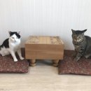 장군멍군 장기 이미지