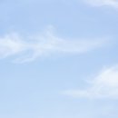 2511 | 본식스냅 화이트포레 올림픽공원 야외스냅 촬영 후기 추천인 짝꿍 코드 2511O1정다희