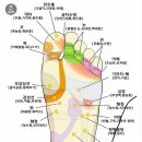 오장육부 이미지