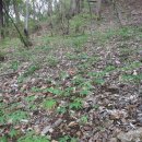 보수농장 이미지