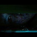 옥수역귀신 이미지