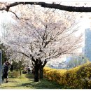 무궁화공원 농구장 이미지