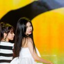 탱탱 이미지