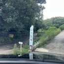 바다요정 이미지