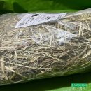 영민동물병원 | 튼팜 건초(곰팡이,벌레)후기