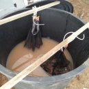 해마루농원 이미지