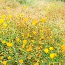 방배골식당 이미지