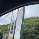요산요수 | 울산 온양 맛집 요산요수 한방닭백숙 계곡 맛집 후기