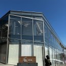 미술계 가장 영향력 있는 작가의 국내 최초 최대 규모 개인전, 필립 파레노: 보이스 리움미술관 전시 후기