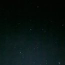 속초 애견펜션 양양 해피 플레이스 이미지