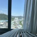 드림동물약품 이미지