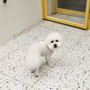 반자주 진해점 이미지