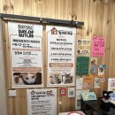 집사의 하루 대구점 | [대구 동성로] 데이트 추천 고양이 카페 집사의 하루