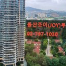 JOY공인중개사사무소 이미지