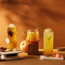 대명 인터내셔널 이미지