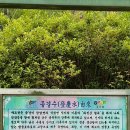 등경수약수터 이미지