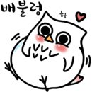 멍애견카페 이미지
