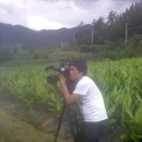 한국농산 이미지