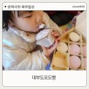 아이랑 대부도여행 디저트로 포도빵 먹고 온 후기
