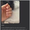 윰네일 - 미추홀구 관교동 | 윰네일