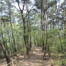 장성호 수변트레킹길 주차장 이미지