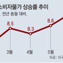 그냥 심심해서요. (15987) 美물가 9%도 뚫렸다 이미지