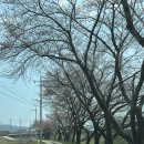 파이브스타 홍성법원점 | [내포 회식] 유명한 오향오리 ‘민속촌’ 홍성맛집 내포에서 영업 재개했어요 / 여전히 맛있어요