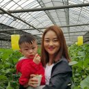 찬이농장 이미지