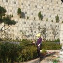 큰나무요양병원 이미지