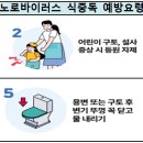 노로바이러스 식중독 예방요령 안내 이미지