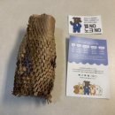 새싹 동물병원 | 마음더 펫샴푸로 우리집 아토피 말티즈 목욕시킨 후기 비건 저자극 강아지샴푸 추천